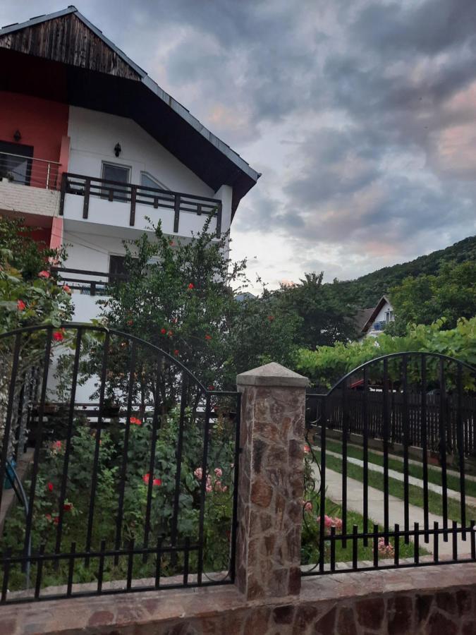 Casa Lica Apartment Caciulata Bagian luar foto